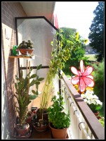 /album/galleria-fotografica/sam-8943-jpg/