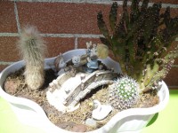 /album/galleria-fotografica/sam-8967-jpg/